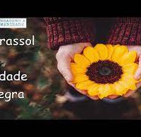 cidade-negra
