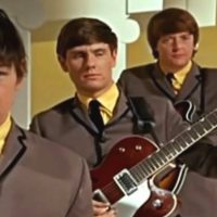 the-animals