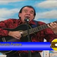 pantera